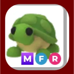 MFR Turtle