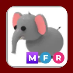 MFR Elephant