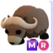 MR Musk Ox