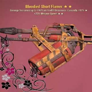 Weapon | B25 Flamer