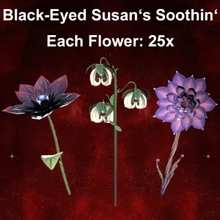 25x Susan's Soothin' Tea (Flowers only)