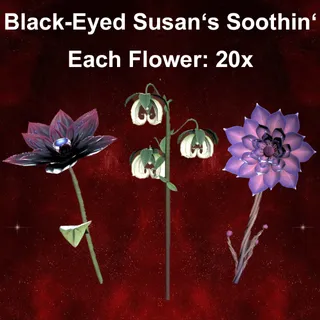 20x Susan's Soothin' Tea (Flowers only)