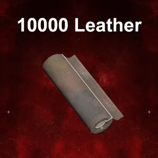 10000 Raw Leather