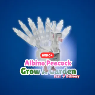 60kg+ Albino Peacock - Grow A Garden