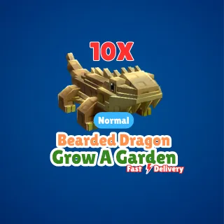 10x Bearded Dragon - Grow A Garden