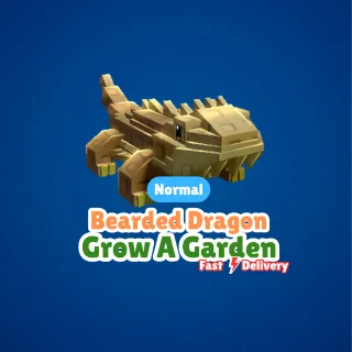 Bearded Dragon - Grow A Garden