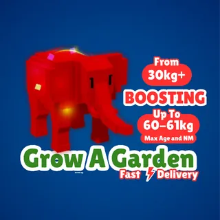 BOOSTING SERVICE 30KG TO 60-61KG - GROW A GARDEN