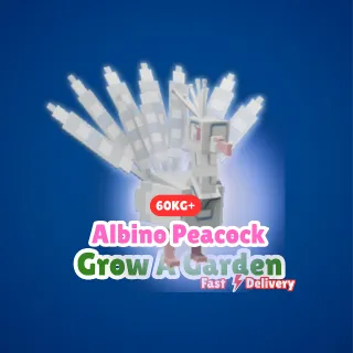 60kg+ Albino Peacock - Grow A Garden