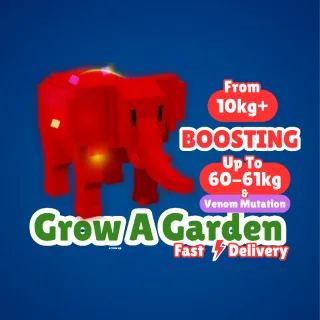 BOOSTING SERVICE 10KG TO 60-61KG + VENOM MUTATION - GROW A GARDEN