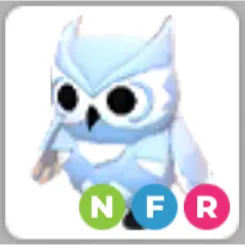 X1 NFR Snow Owl