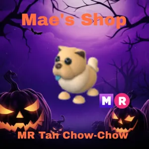 🎃 MR Tan Chow-Chow