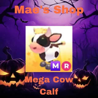 MR Cow Calf