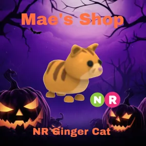 🎃 NR Ginger Cat