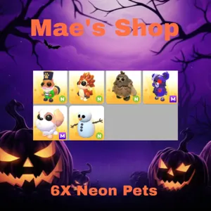 🎃 6X Neon Pets