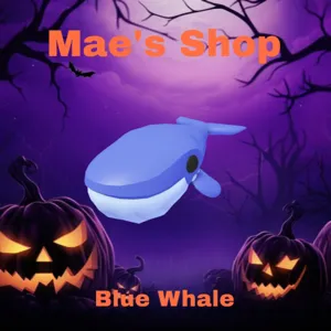 🎃 Blue Whale