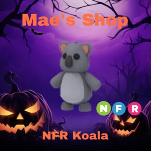 🎃 NFR Koala