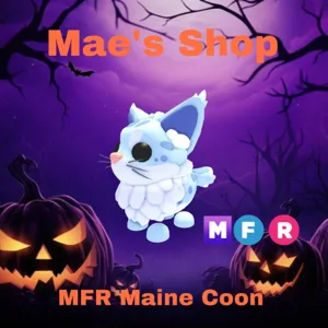 🎃 MFR Maine Coon