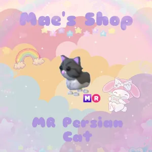 ⭐️ MR Persian Cat