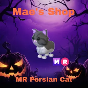 🎃 MR Persian Cat