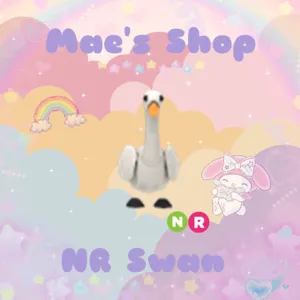 ⭐️ NR Swan