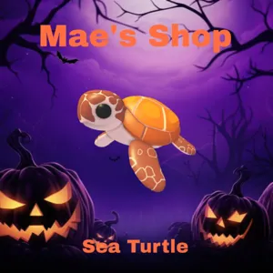 🎃 Sea Turtle