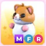 MFR Hamster