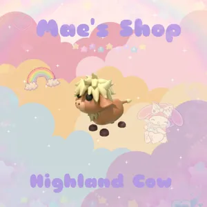 ⭐️ Highland Cow