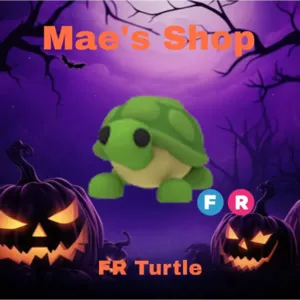 🎃 FR Turtle