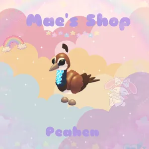 ⭐️ Peahen