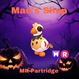 🎃 MR Partridge