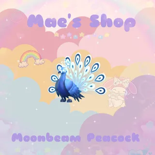 ⭐️ Moonbeam Peacock