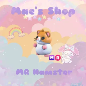 ⭐️ MR Hamster