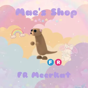 ⭐️ FR Meerkat