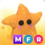 MFR Starfish