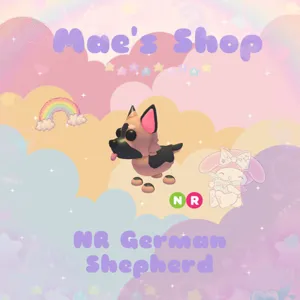 ⭐️ NR German Shepherd