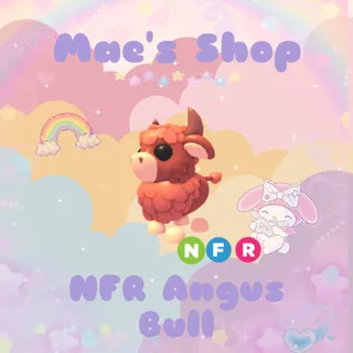 ⭐️ NFR Angus Bull