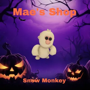 🎃 Snow Monkey