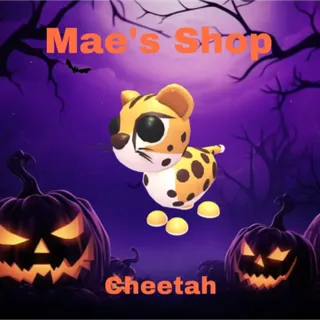 🎃 Cheetah
