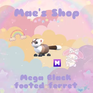 ⭐️ M Black Footed Ferret