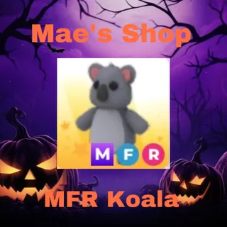 MFR Koala