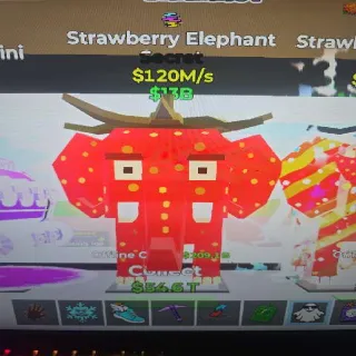 Strawberry Elephant 120M/s