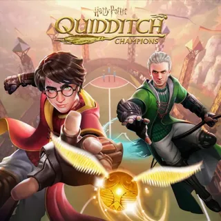 harry potter quidditch champions