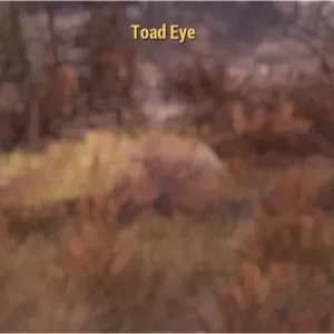 Toad Eye (Legacy)