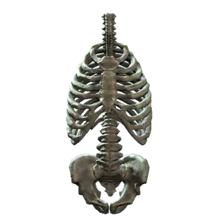 x4 Soldier’s Remains