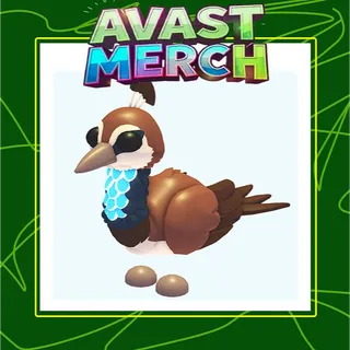 peahen