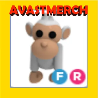 fr albino monkey