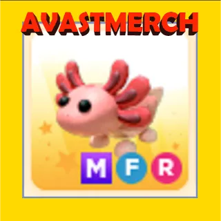 mfr axolotl