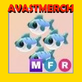 mfr many mackerel