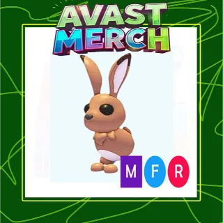 mfr hare