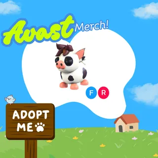 FR Mini pig